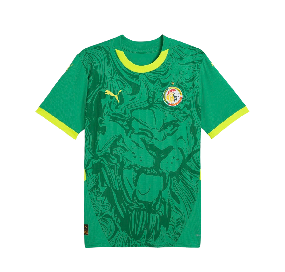 Maillot Sénégal Extérieur 2025