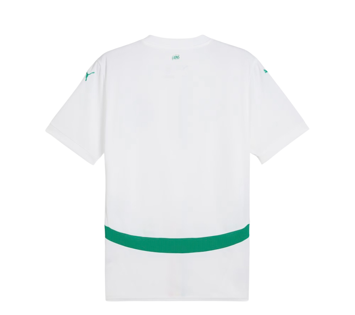 Maillot Sénégal Domicile 2026