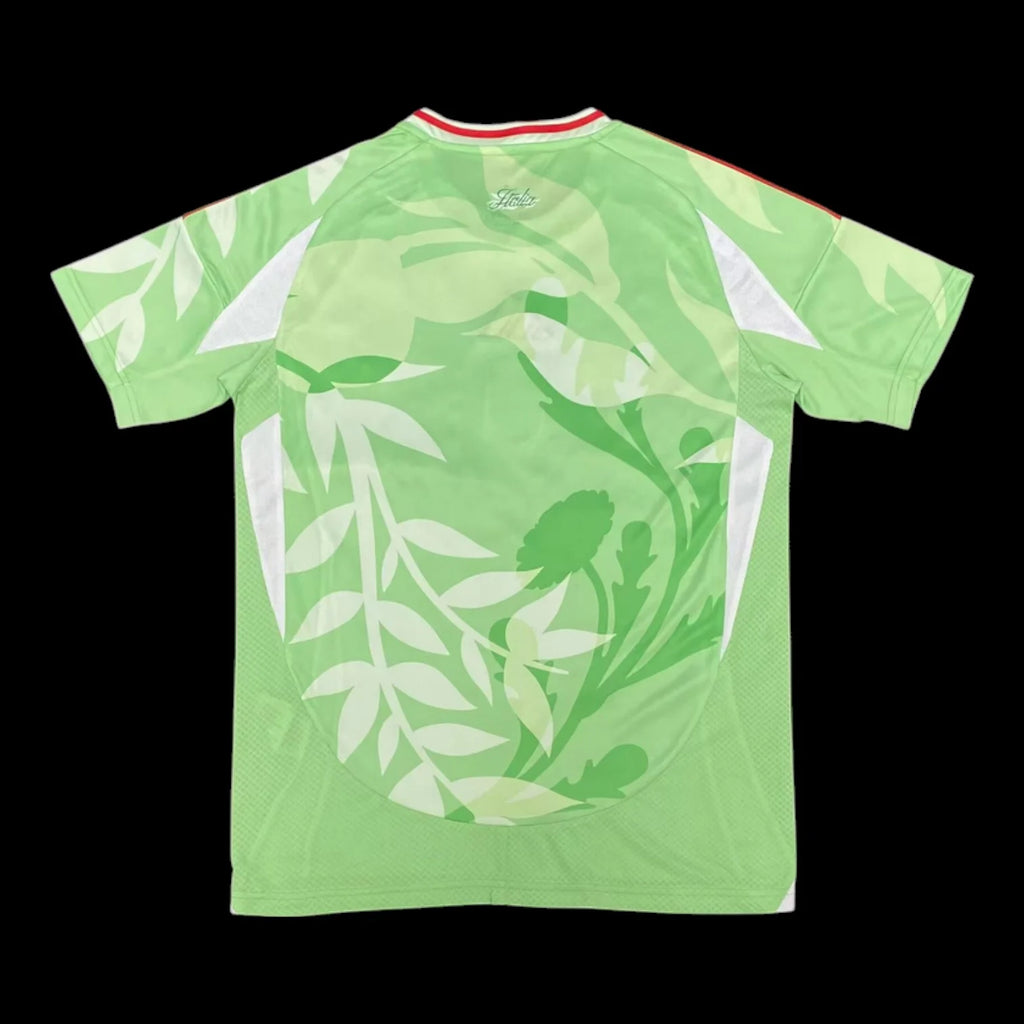 Maillot Italie Extérieur 25/26