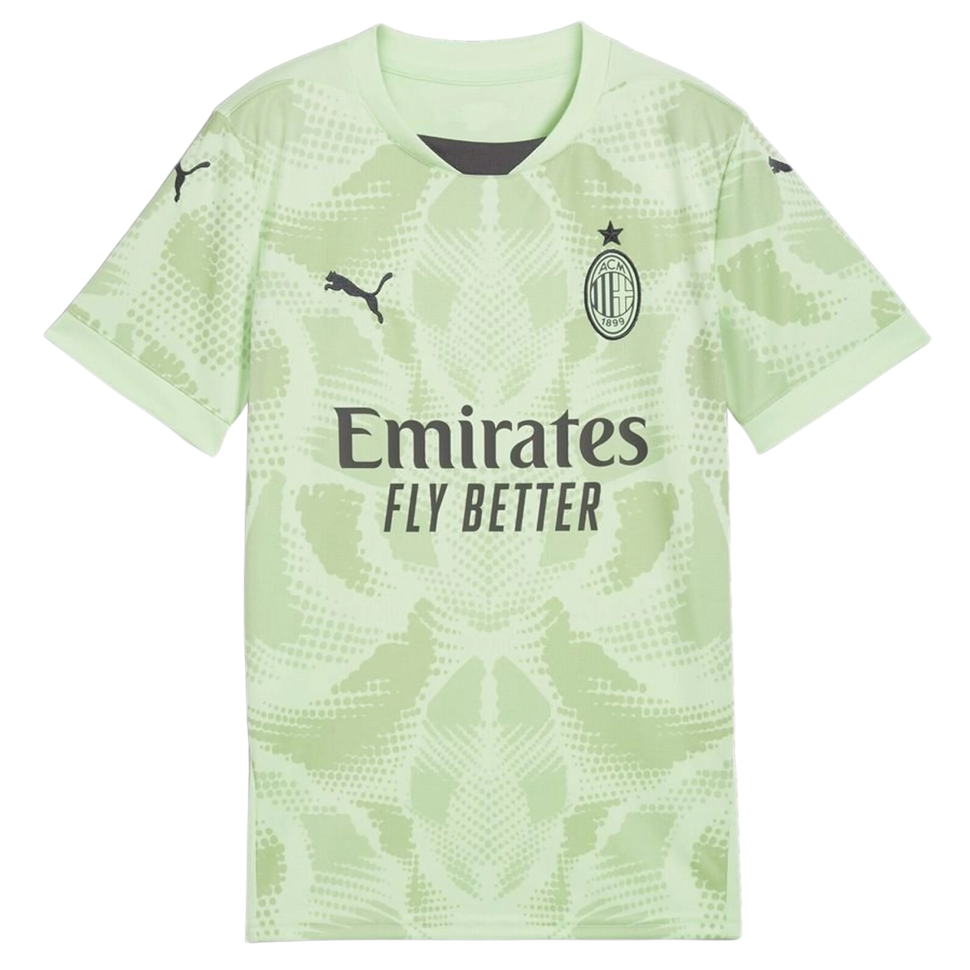 Maillot AC Milan Gardien 24/25